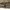 Adidas originals VRCT brown coats jacket photo 6