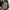Adidas originals VRCT brown coats jacket photo 8