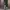 Faded MOSS Green Distressed Carhartt Carpenter Pants photo 3