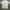 Vivienne Westwood Luxury Casual T-shirt Pria multicolor photo 6
