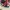 Shoes Anak Laki  photo 2