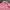 Polo Ralph Lauren Luxury Casual Bomber jacket Wanita pink photo 2