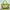 Burberry authentic Entrupy pvc Vinyl Shoulder Tote Satchel H photo 1