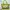 Burberry Authentic Entrupy Pvc Vinyl Shoulder Tote Satchel H