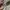 TUMI Luxury Casual Parka Wanita tan photo 5
