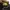 Caterpillar Intar Trainer photo 5