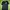 BAJU VANS BIG LOGO photo 1