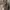 Braun Buffel Medium Bucket Bag (ORIGINAL)  photo 3