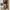 00s florella realtree pants photo 6