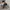 00s florella realtree pants photo 9