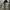 00s florella realtree pants photo 8