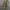 00s florella realtree pants photo 2