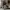 00s florella realtree pants photo 10
