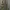 00s florella realtree pants photo 1