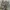 00s florella realtree pants photo 5