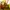 Hermes Birkin 30 handbag yellow kuning balzip RIRI photo 4