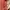Hermes Birkin 30 Handbag Red merah Leather GHW photo 3