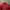 Vintage Casual Windbreaker Pria red photo 2