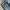 Diesel Thavar Slim-Skinny Wash code 0848C – Stretch Denim Ma photo 2