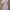 ZARA Luxury Blazer Wanita purple photo 2