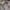 Cheongsam Dress photo 5