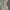 Cheongsam Dress photo 3