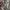 Cheongsam Dress photo 7