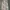 Cheongsam Dress photo 2