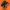 salomon xt6 goretex
 photo 1