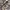 Twins Cheongsam Dress  photo 5