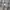 BURBERRY London Novacheck Shirt photo 7