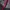 AEGIS OUTDOOR GORPCORE JACKET WATERPROOF photo 5