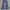 MUSINSA | RAW DENIM BAGGY FIT INSILANCE INSTANT DENIM photo 7