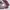 F.W.K enginereed garments adjust floral blazer jacket photo 6