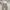 Uniqlo Streetwear Sweatpants & Joggers Pria tan photo 3