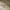 Undercover Streetwear Minimalist Fleece Pria white gray photo 6