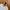 Undercover Streetwear Minimalist Fleece Pria white gray photo 5