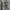 Vintage Thrashed Camo Pixel Cargo Shorts  photo 6
