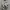 Vintage Thrashed Camo Pixel Cargo Shorts  photo 9