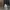 Vintage Thrashed Camo Pixel Cargo Shorts  photo 7