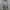 Vintage Thrashed Camo Pixel Cargo Shorts  photo 1