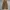 Machpe Tommorowland JPN carpenter longpants tan brown, Baggy photo 5