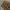 Machpe Tommorowland JPN carpenter longpants tan brown, Baggy photo 6