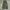 Brown Standard Fatigue longpants green, Loose Fit photo 5