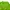 Sportswear Casual Jersey Wanita green photo 3