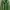 Blazer Wanita green photo 1