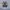 Salomon XT-6 Gore-Tex Vintage Khaki photo 5