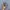Salomon XT-6 Gore-Tex Vintage Khaki photo 4