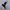 Sendal Birkenstock Boston Black Suede