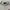 Polo Ralph Lauren Casual Polo shirt Pria white photo 6